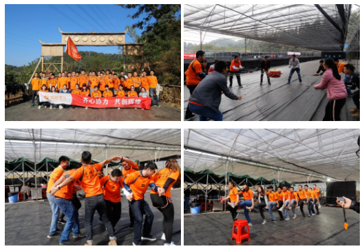 2019九龍生態(tài)園團建.png